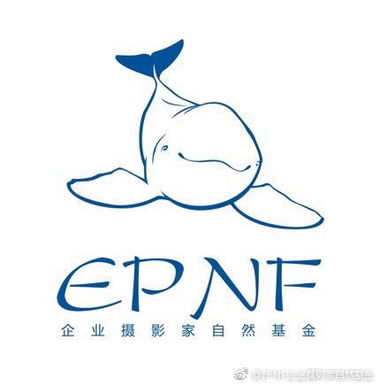 EPNF形象大使张梁秉航行——保护自然，我们一直在行动